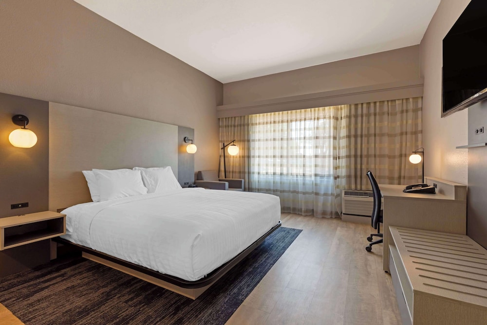 Standard Room, 1 King Bed, Accessible, Refrigerator & Microwave photo 1