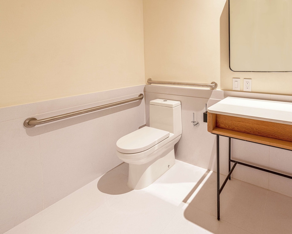 Room, 1 King Bed, Accessible (Roll-In Shower) - Photo 12