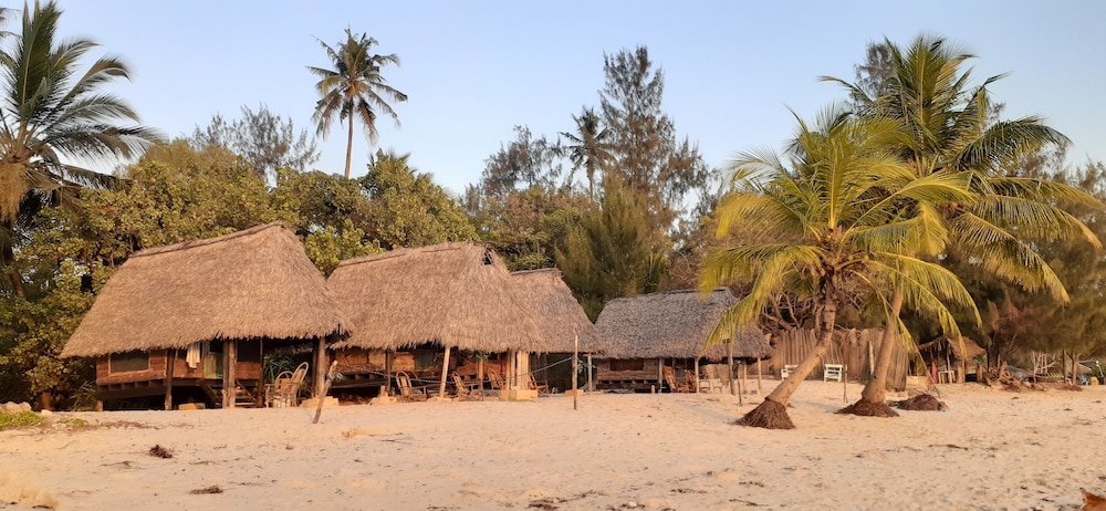 Basic Double or Twin Room, Beach View photo 1