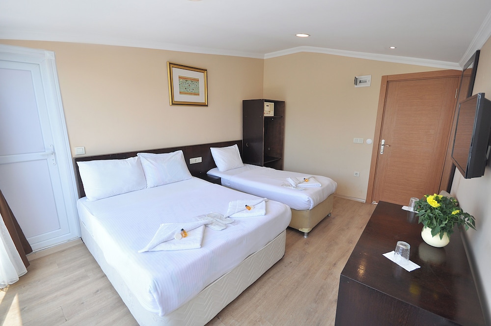 Deluxe Triple Room, City View photo 2