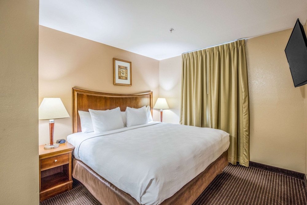 Suite, 1 King Bed with Sofa bed, Accessible, Non Smoking (Efficiency) photo 1