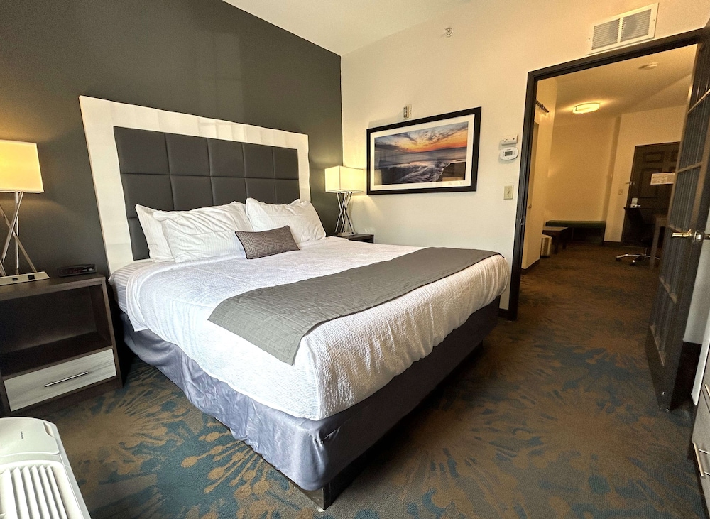 Suite, 1 King Bed, Non Smoking (Walk-in Shower;with Sofabed) - Photo 1