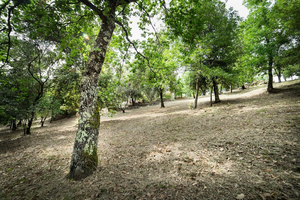 Agriturismo e Glamping Serraiola Alta, Billede 2