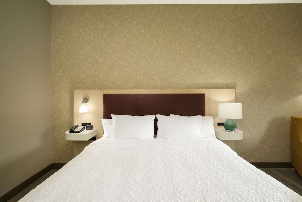 Room, 1 King Bed, Accessible (Hearing) photo 2