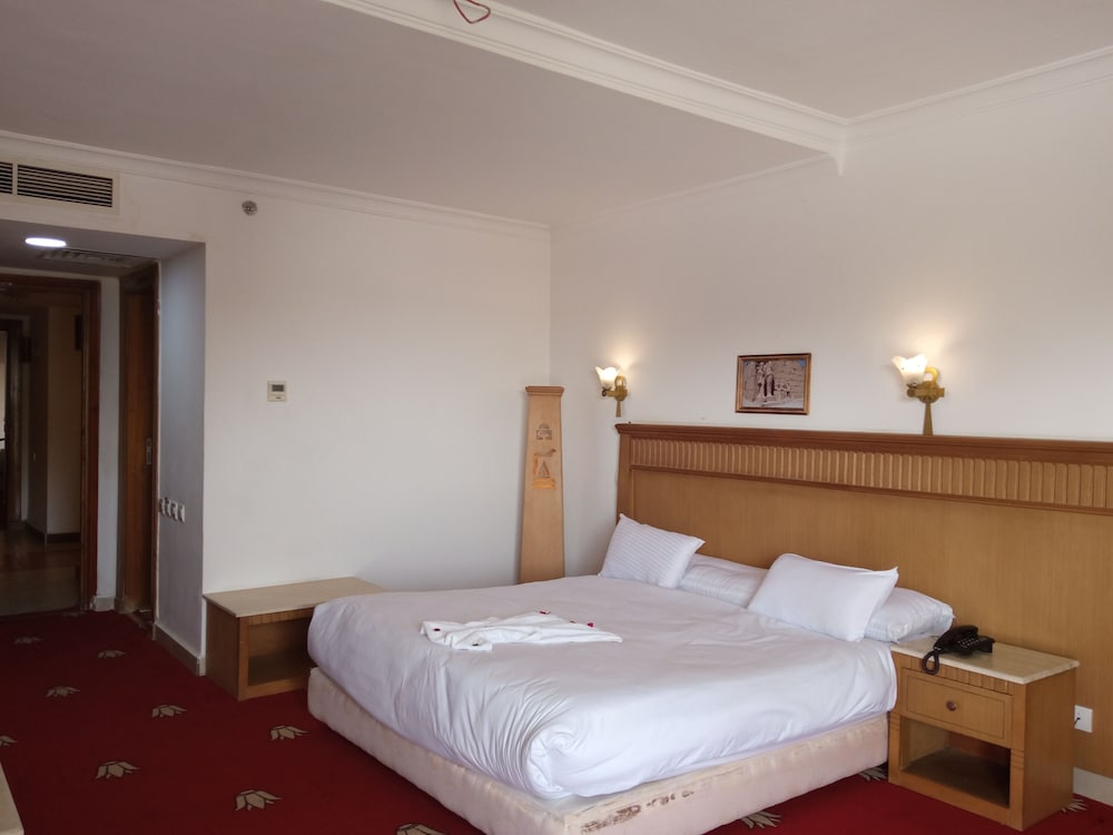 Superior Single Room Pyramids View