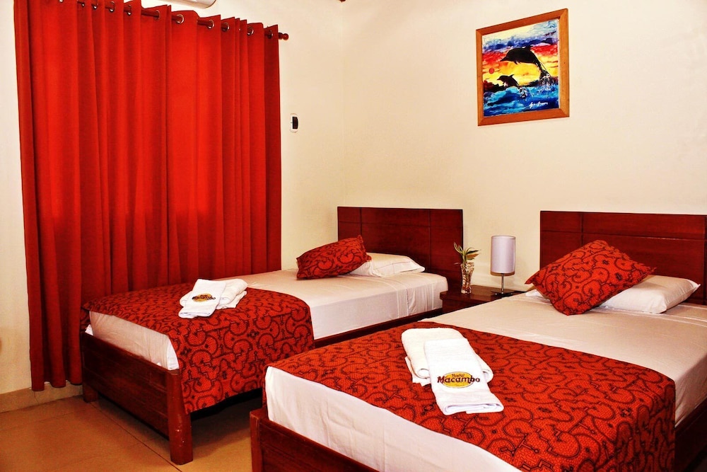 Basic Twin Room photo 1