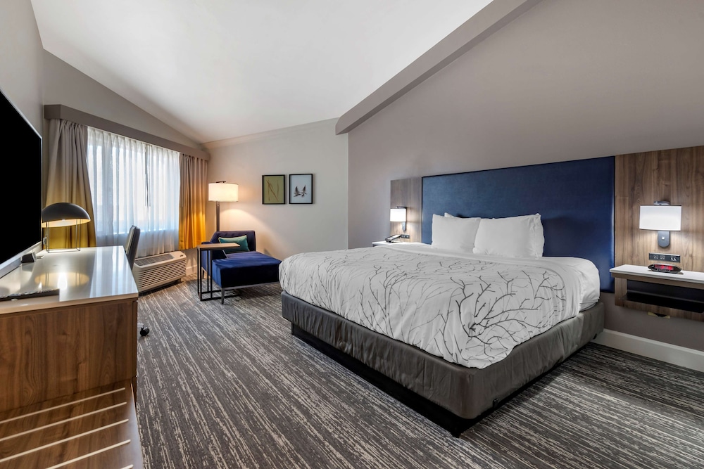 Standard Room, 1 King Bed, Accessible, Patio (Walk-in Shower) - Photo 5