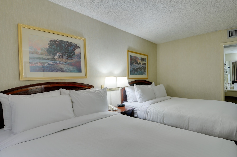 Standard Room, 2 Queen Beds photo 1