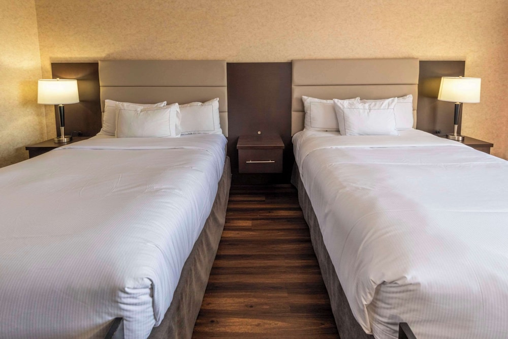 Standard Room, 2 Double Beds, Non Smoking - Photo 9