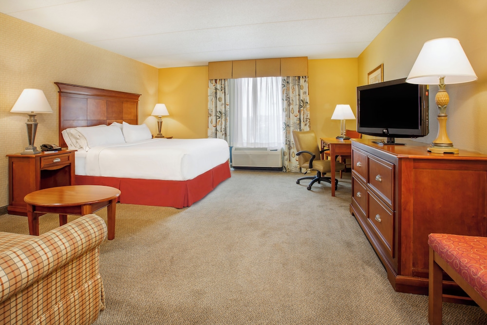 Standard Room, 1 King Bed with Sofa bed, Jetted Tub - Photo 1