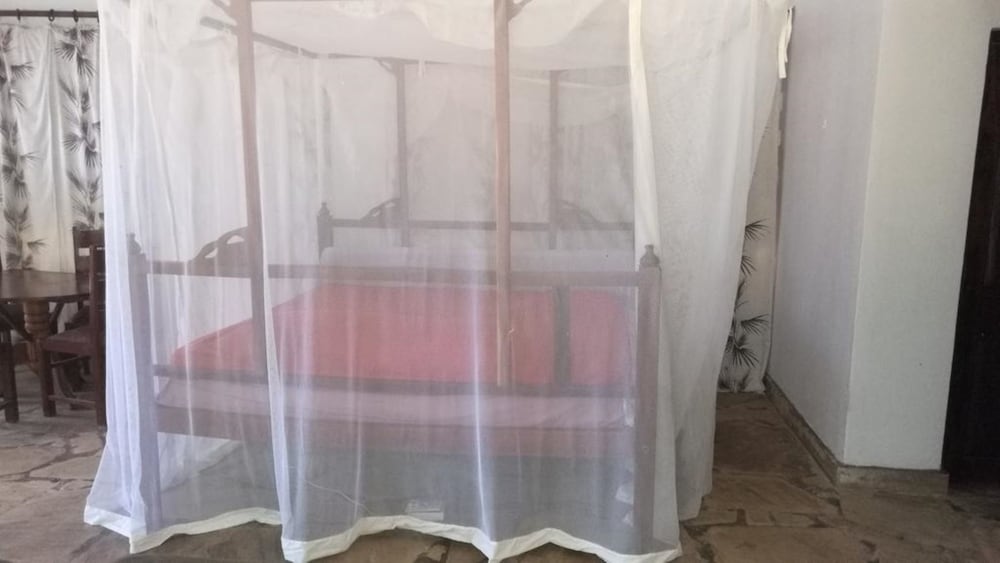 House, 1 Bedroom