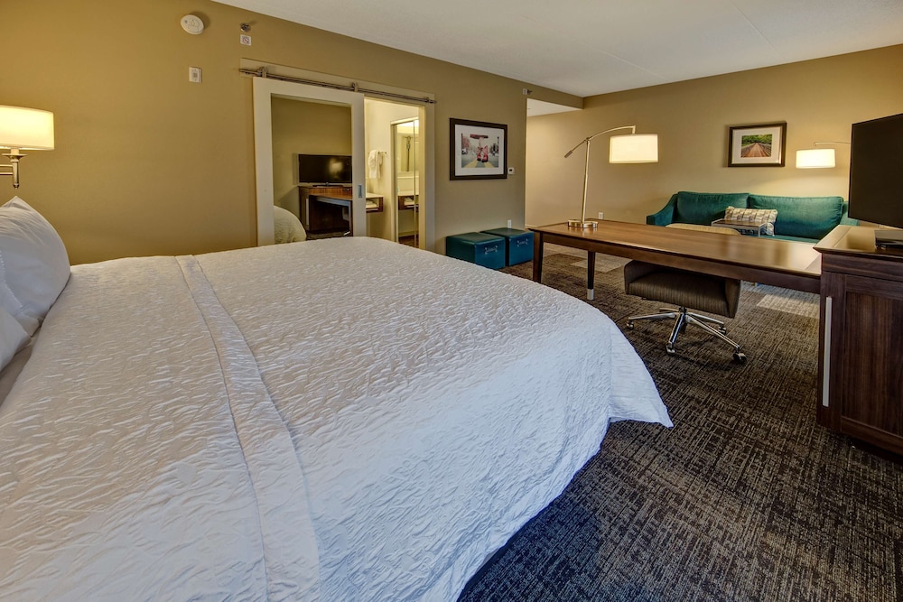 Studio, 1 King Bed, Non Smoking, Refrigerator & Microwave