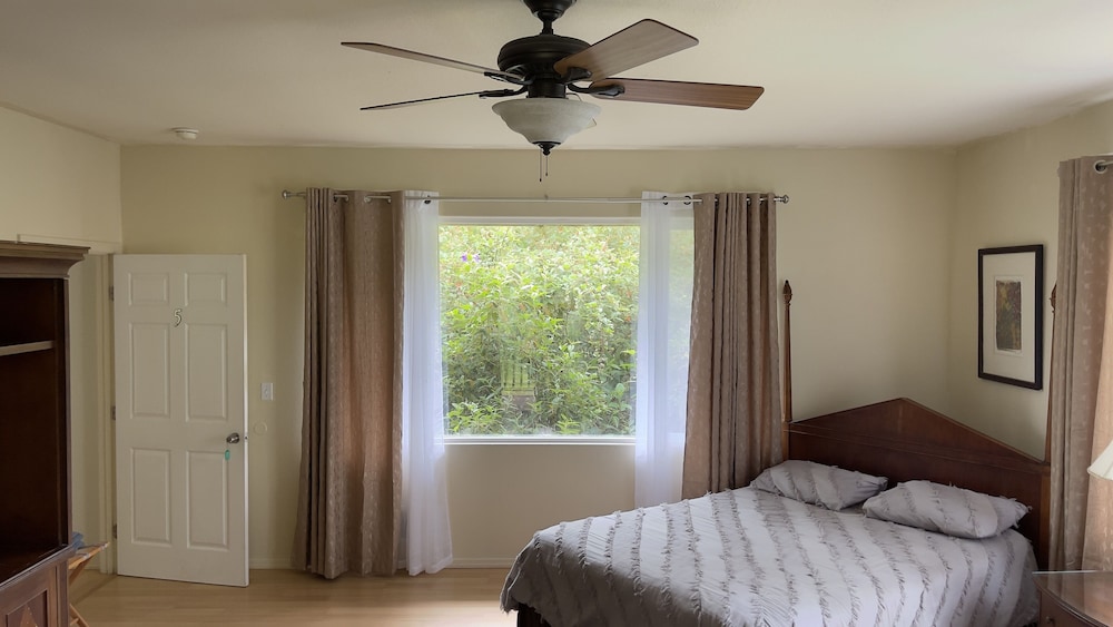 Room (Botanical) - Photo 11