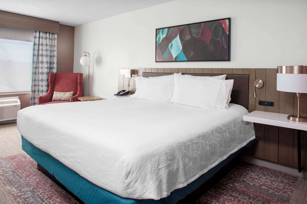 Room, 1 King Bed, Accessible (Roll-In Shower) - Photo 2