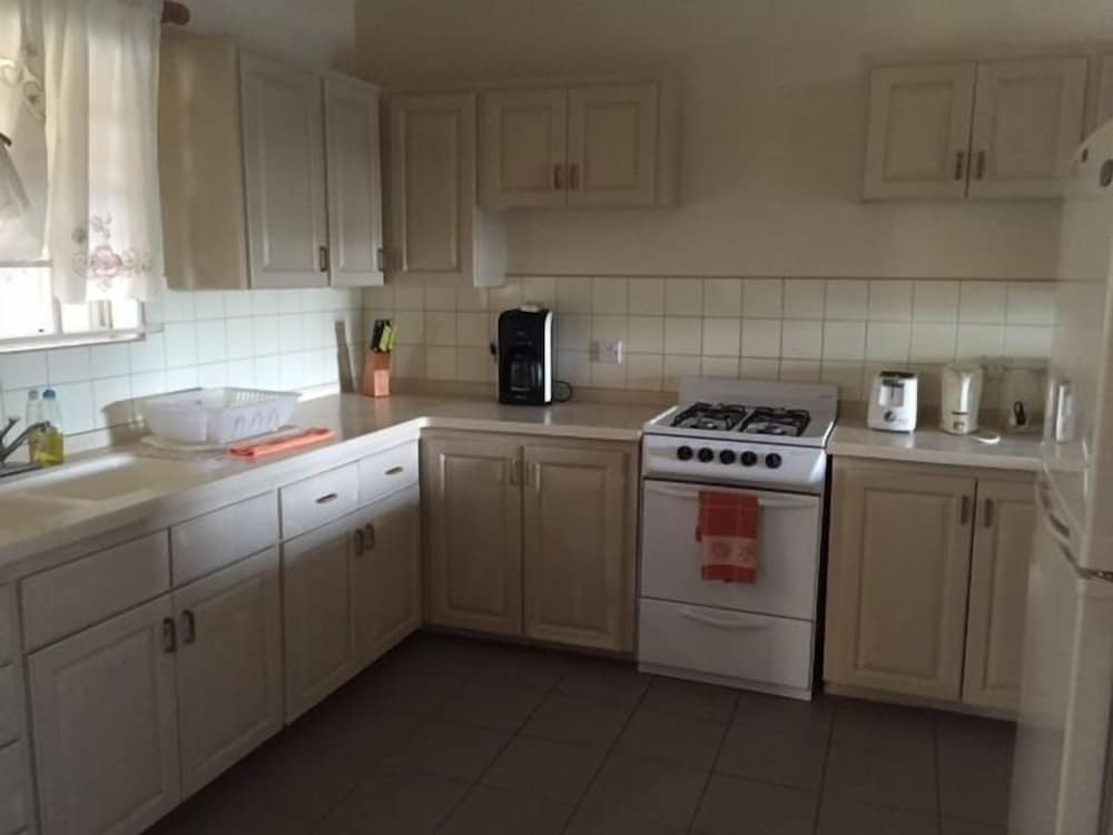 Apartment, 1 Bedroom, Kitchen photo 3