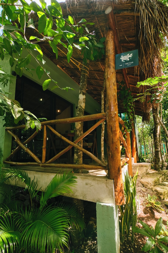 Premium Villa photo 2