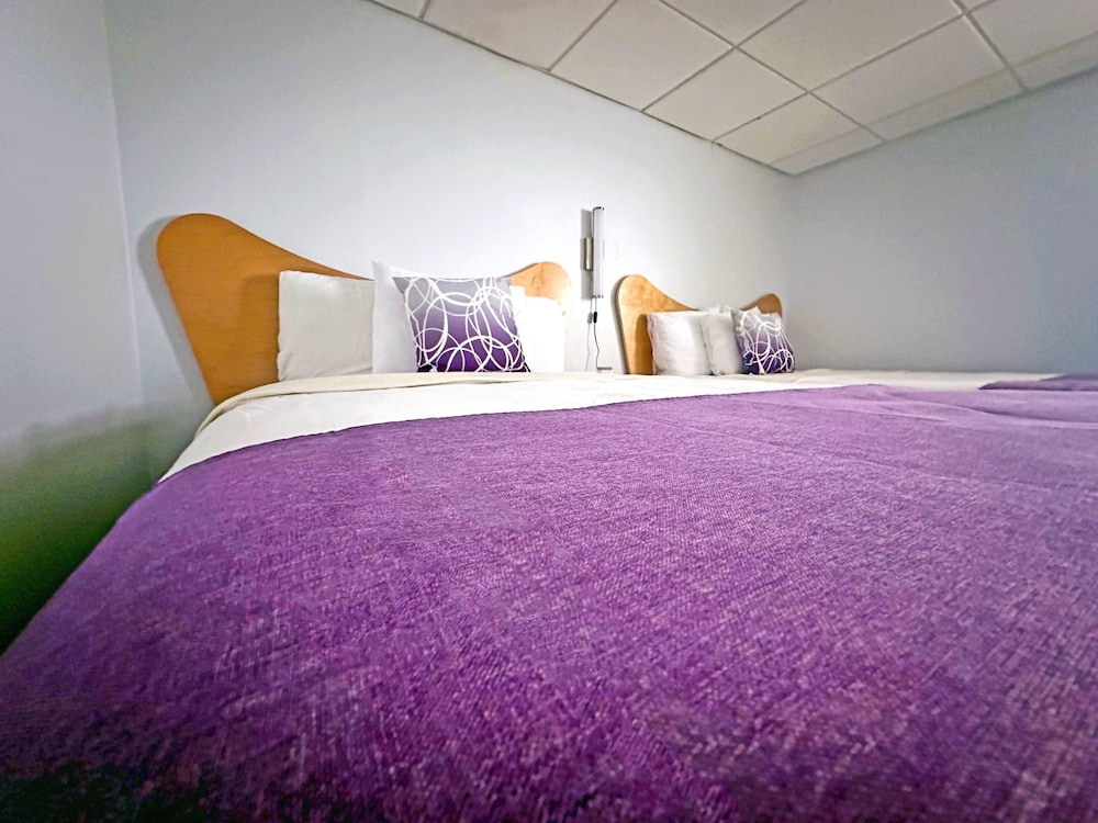 Superior Double Room, Kitchenette photo 2