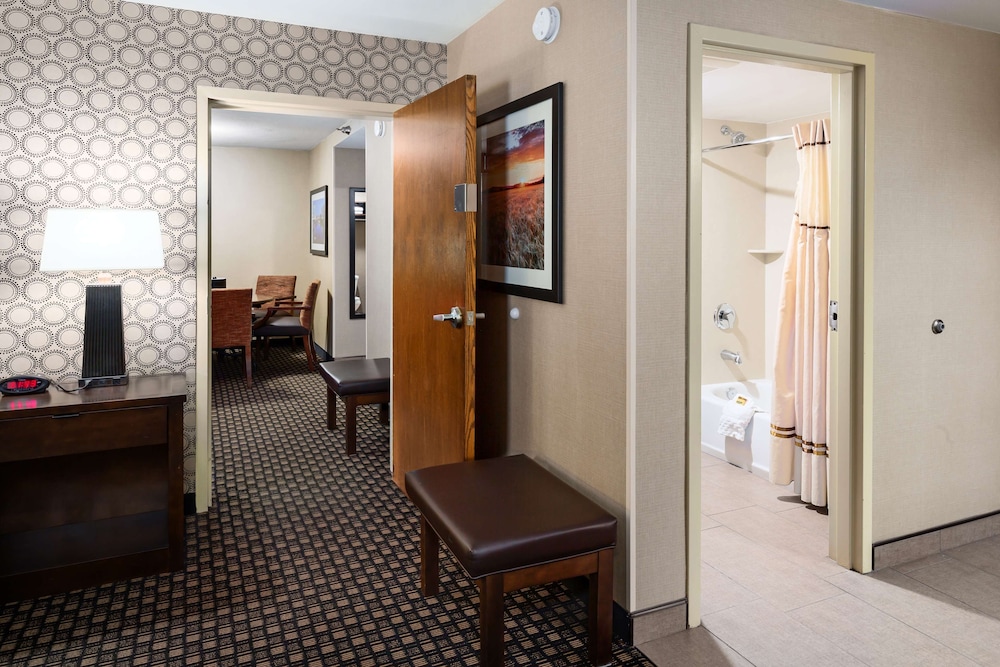 Suite, 1 King Bed, Non Smoking, Fireplace (with Sofabed) - Photo 1
