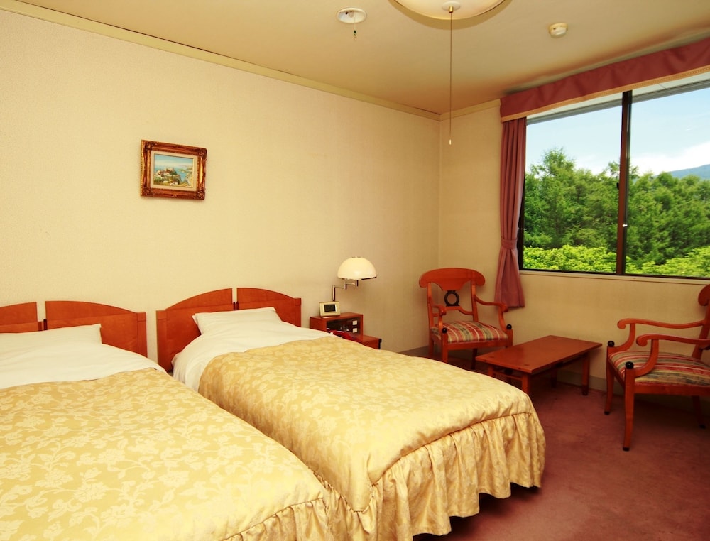 Twin Room photo 3