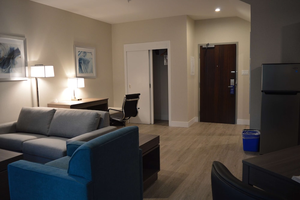 Suite, 1 King Bed, Non Smoking, Kitchen (with Sofabed) photo 2