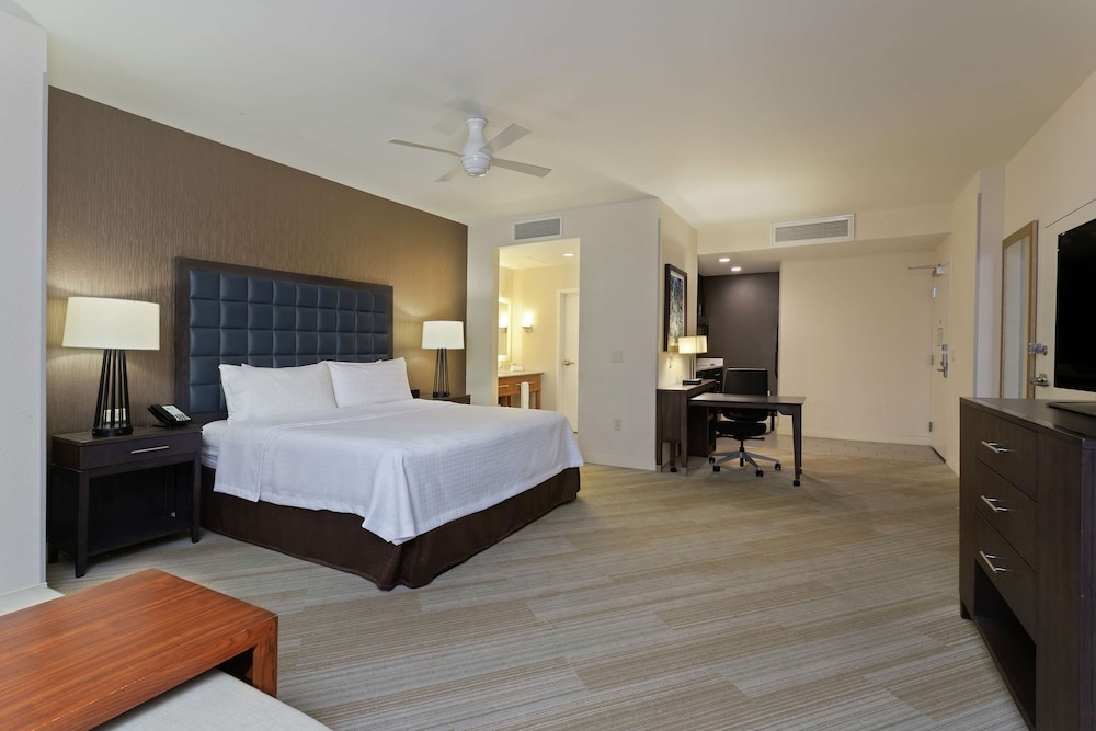 Studio Suite, 1 King Bed, Non Smoking photo 1
