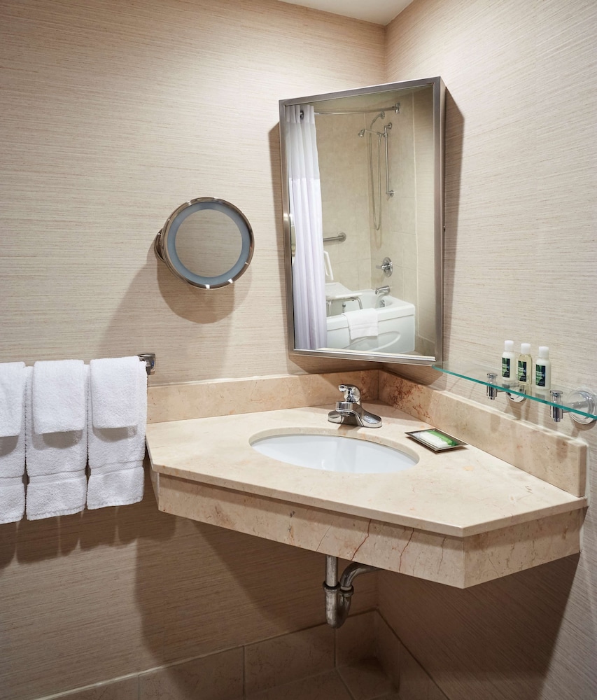 Standard Room, 1 Queen Bed, Mobility Accessible, Bathtub - Photo 5
