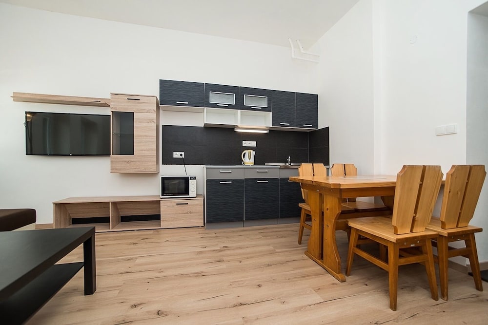 Apartment, 1 Bedroom, Kitchenette (4) photo 3
