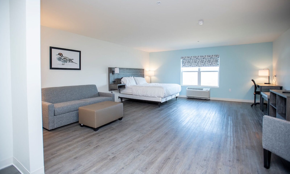Basic Studio, 1 King Bed, Accessible