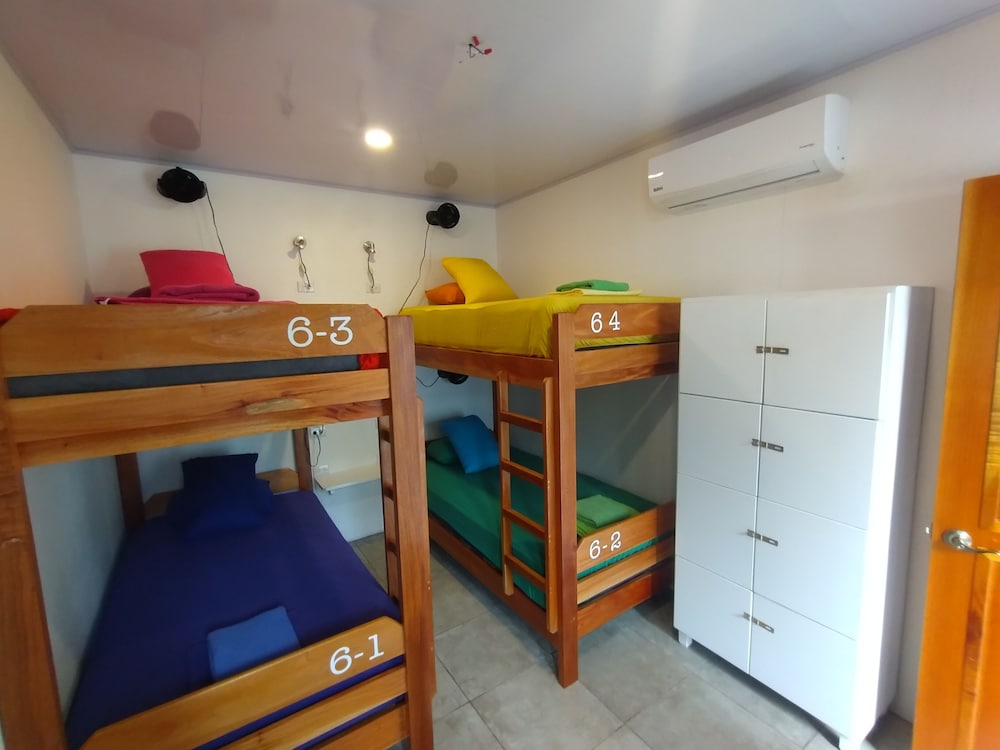 Comfort Shared Dormitory, Multiple Beds, Non Smoking, Ensuite photo 3