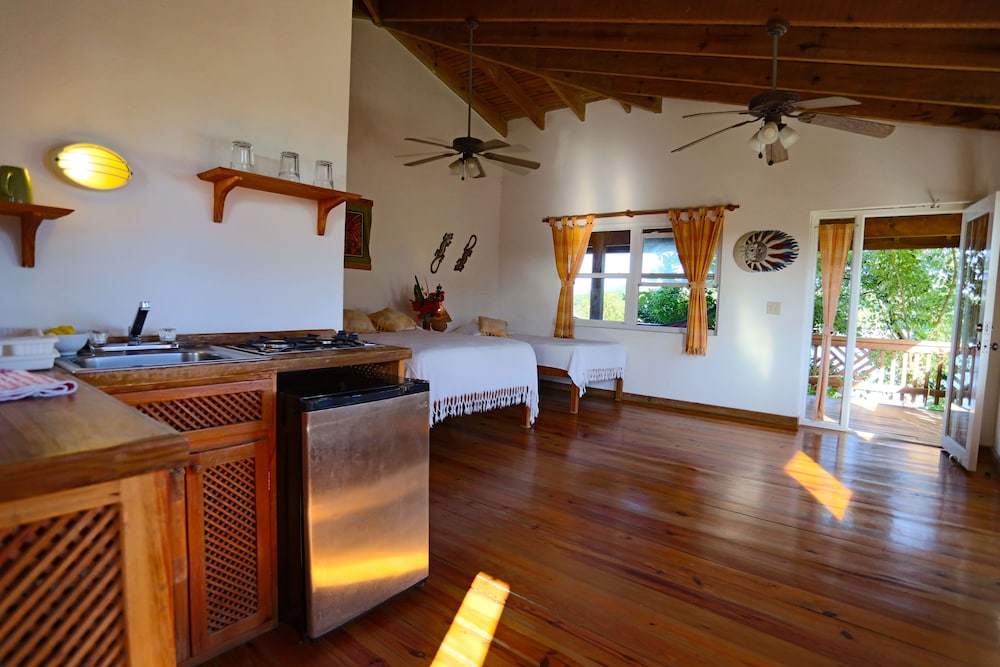 Standard Studio, Ocean View, Oceanfront photo 1