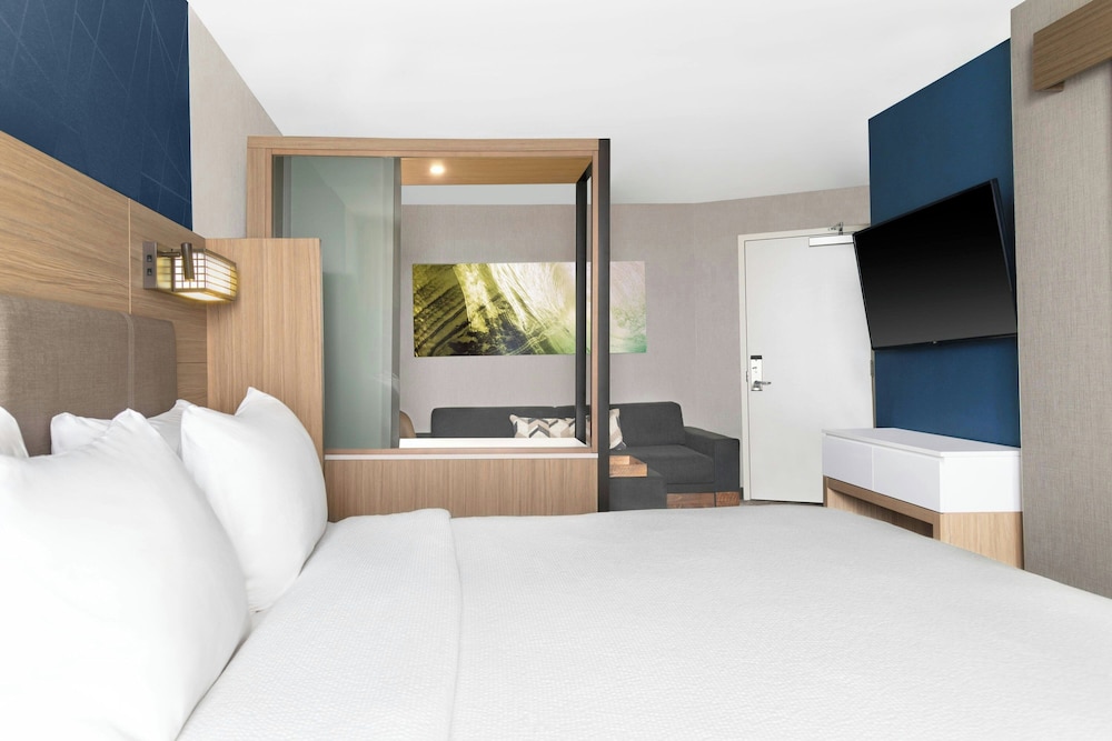 Suite, 1 King Bed (Mobility Accessible, Roll-In Shower) - Photo 3