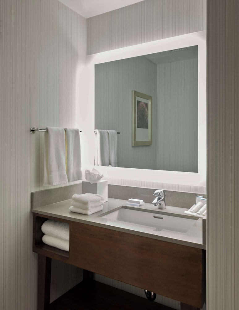 Room, 1 King Bed, Accessible (Roll-In Shower) photo 3