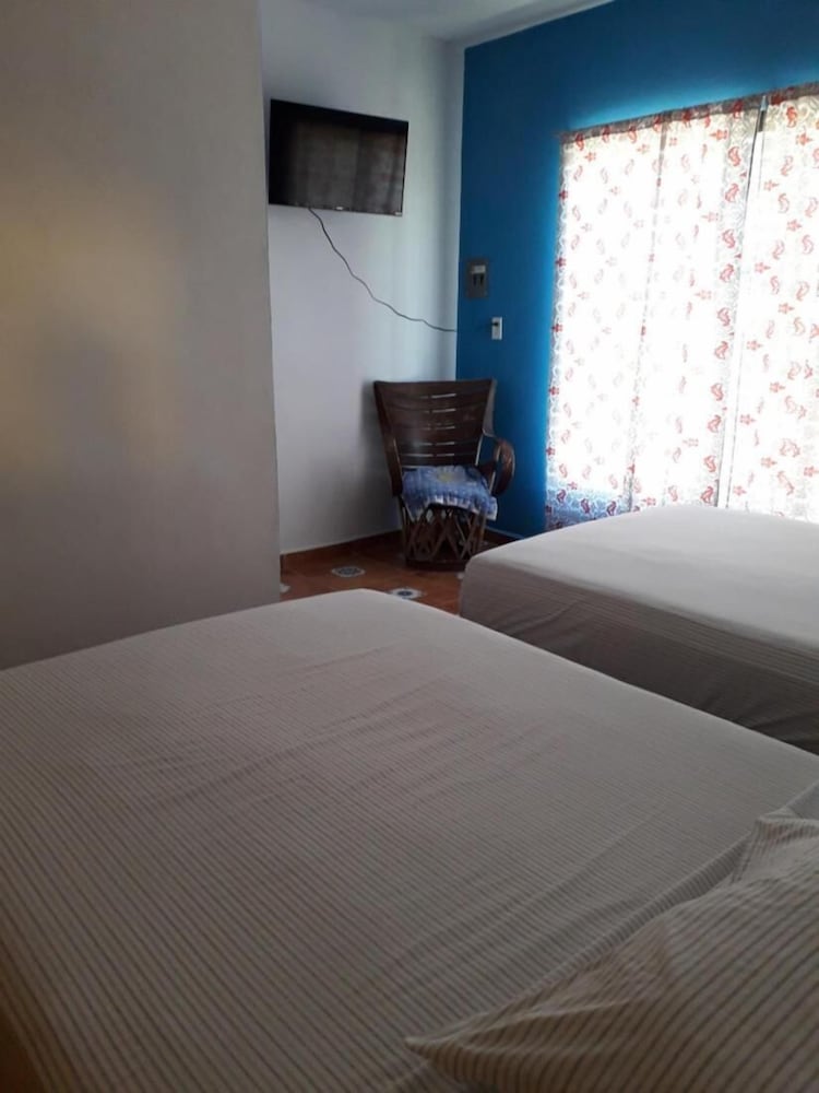 Room, 1 Bedroom, Terrace