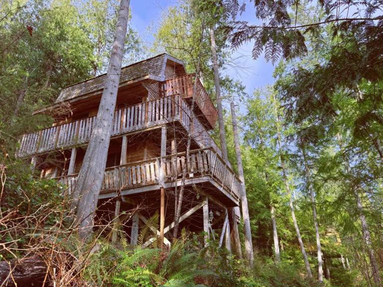 One-Bedroom Chalet photo 1