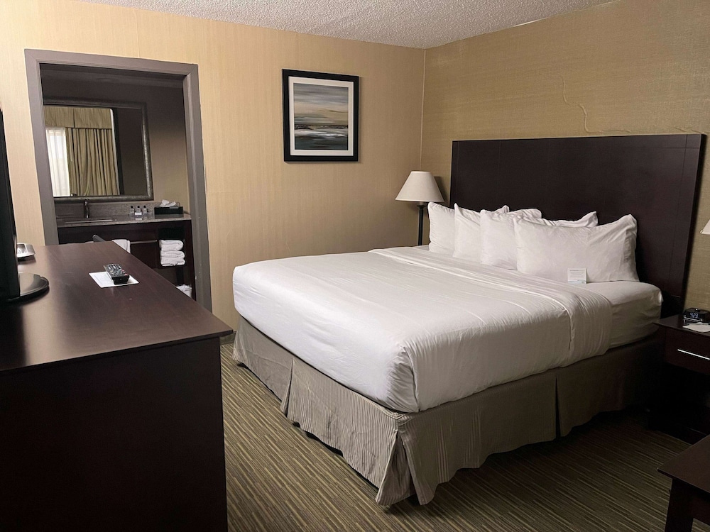 Room, 1 King Bed, Non Smoking - Photo 1