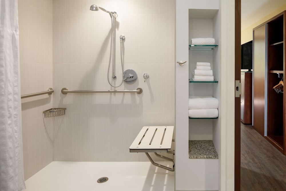 Room, Accessible (Roll-in Shower) - Photo 12