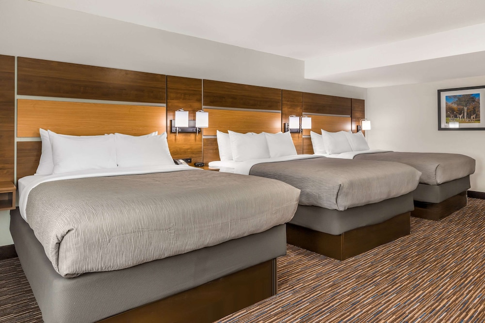 Suite, Multiple Beds, Accessible, Non Smoking - Photo 2