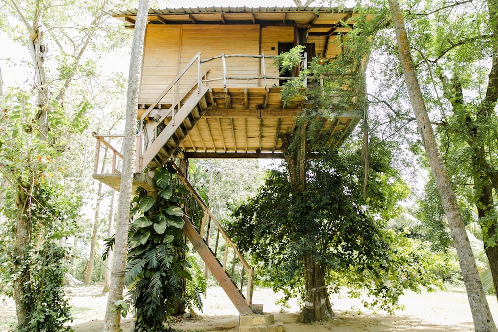 Tree House photo 3