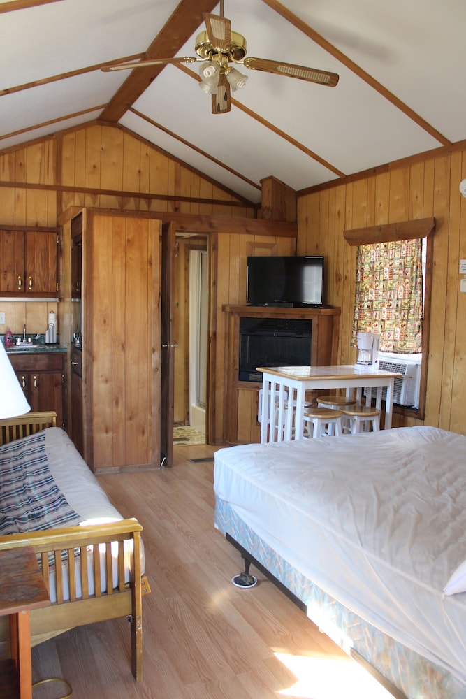 Premium Cabin photo 1