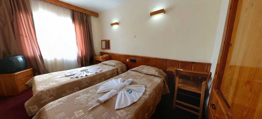 Standard Double or Twin Room photo 1