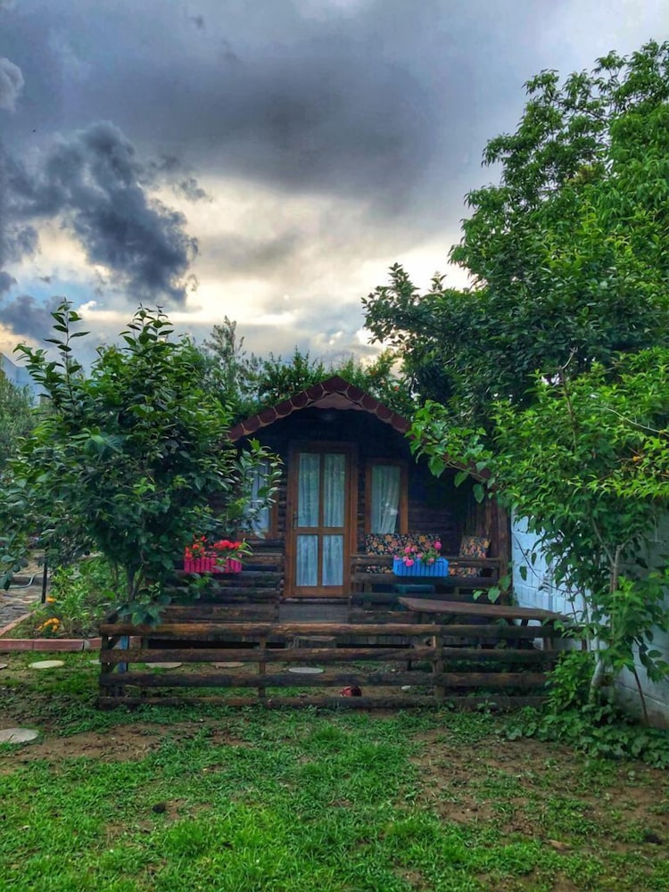 Tree House, Multiple Beds, Lanai, Pool View photo 1