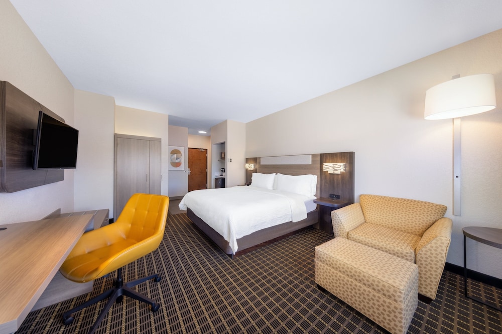 Suite, 1 King Bed, Accessible Bathtub (Mobility) - Photo 1