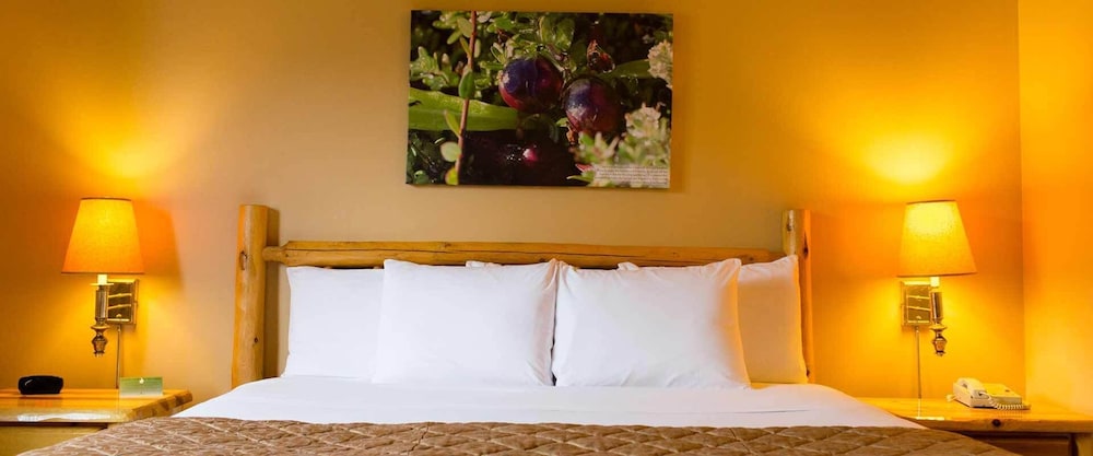 Room, 1 King Bed (Wood Duck Guest Room)