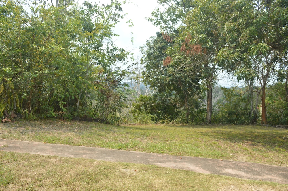 Executive Bungalow photo 2