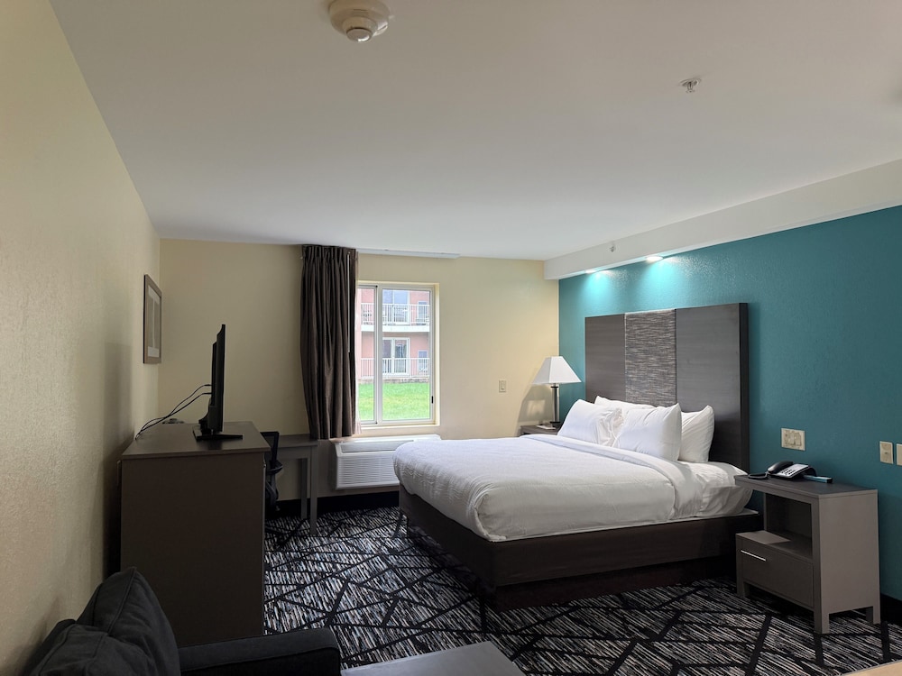 Room, 1 Queen Bed photo 1