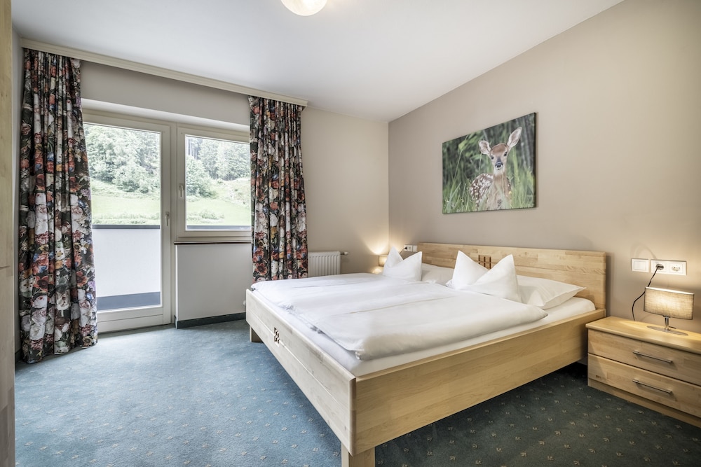 Basic Apartment, 1 Bedroom, Balcony, Mountain View photo 1