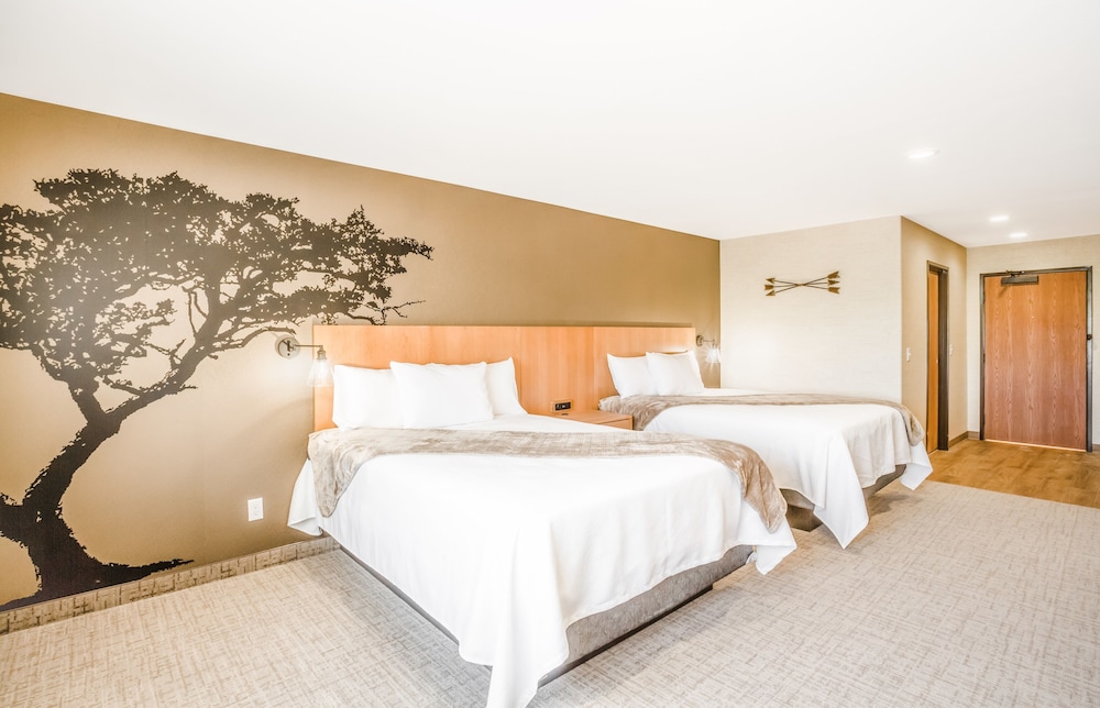 Elite Room, 2 Queen Beds, Refrigerator & Microwave, Desert View photo 3