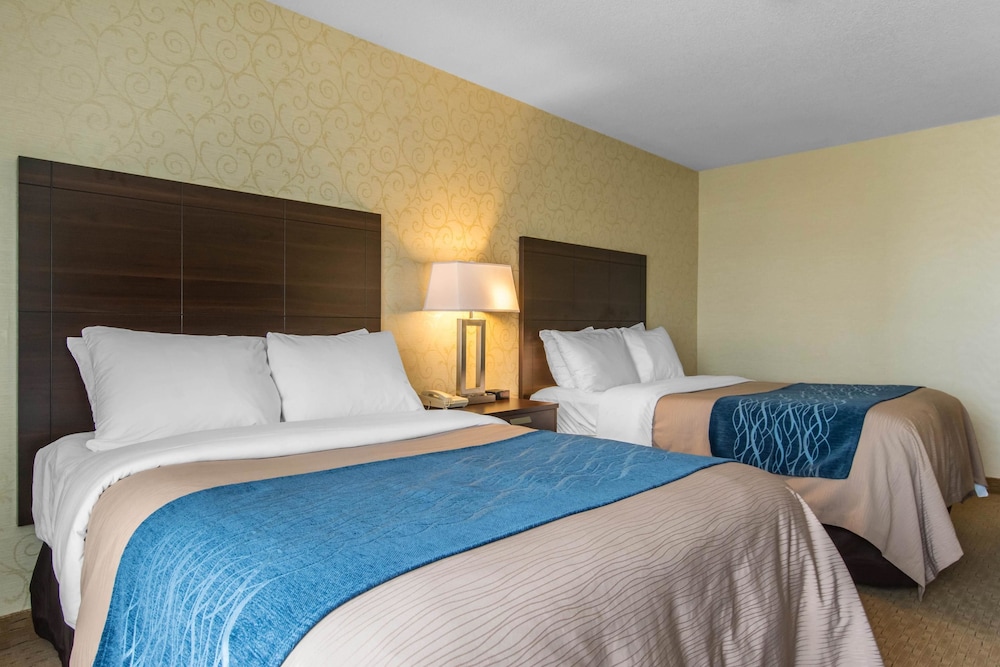Comfort Care, Double Room, 2 Double Beds, Non Smoking - Photo 4