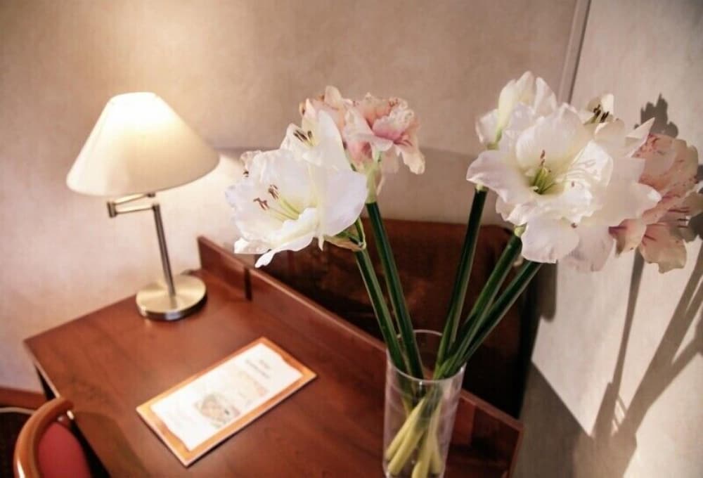 Double or Twin Room photo 3