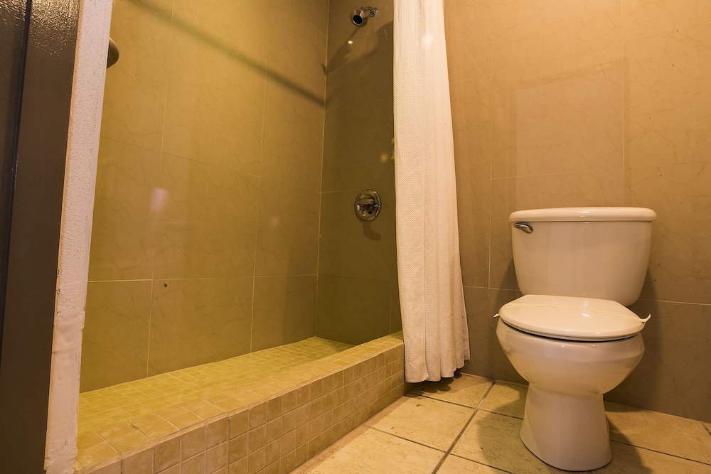 Deluxe Single Room photo 2